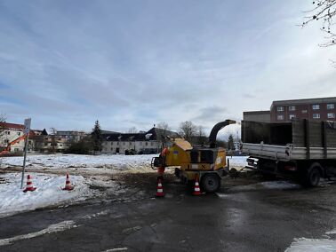 Galeriebild