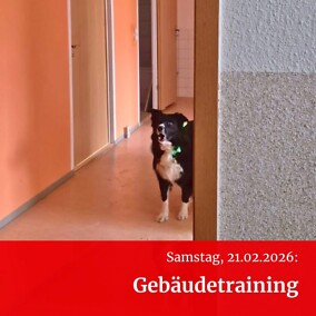 Galeriebild