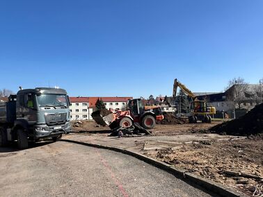 Galeriebild